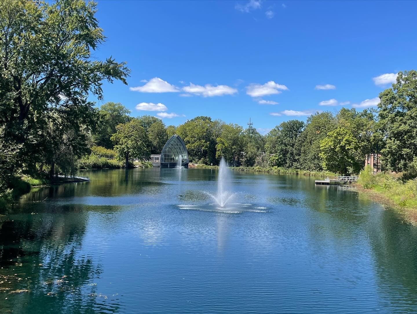 SASE RHIT Cover Image