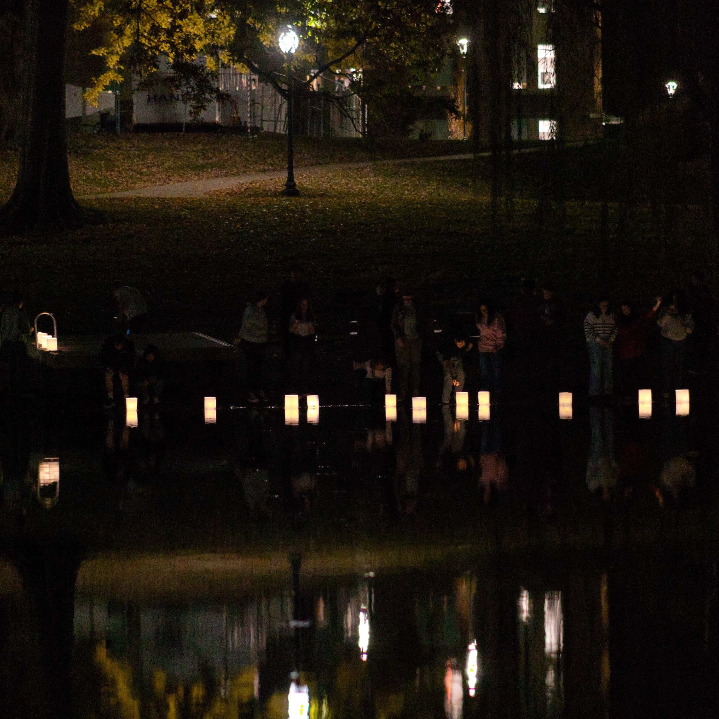 Cherry Blossom thumbnail